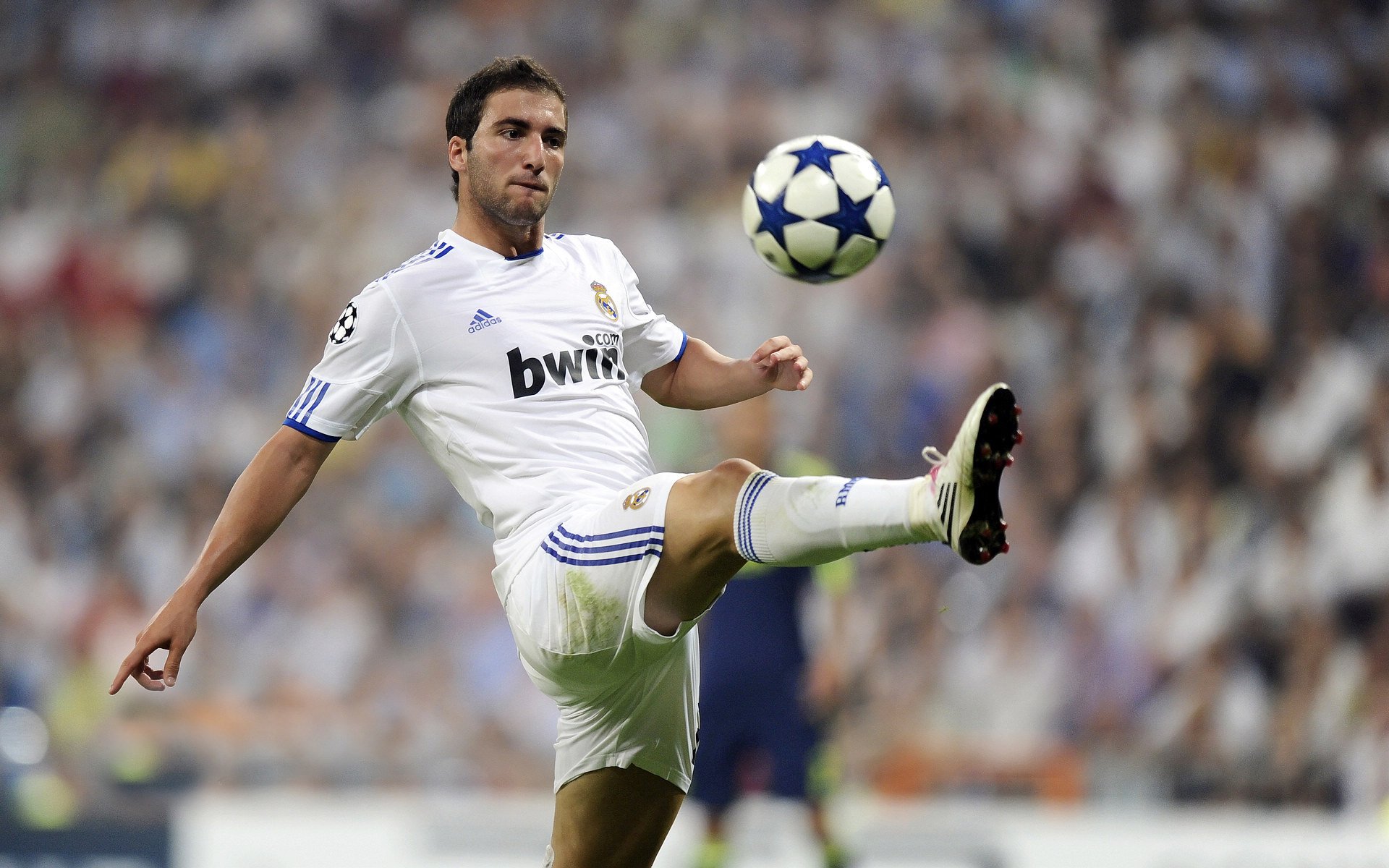 钢铁森林与热带飓风,当北欧海盗在极昼下完成一场精密杀戮